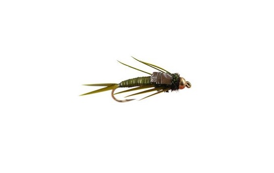 Marks Simple Olive Stonefly