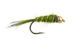 Olive Basic BH Nmyph