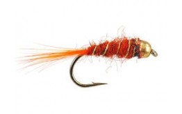 Orange Basic BH Nmyph