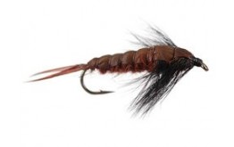 Realistic Giant Dark Stonefly