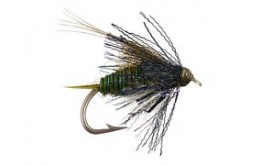 Thurmans Zaddis   Olive