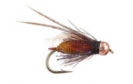 Thurmans Zaddis October