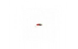 Watson's Fancy (Bold)