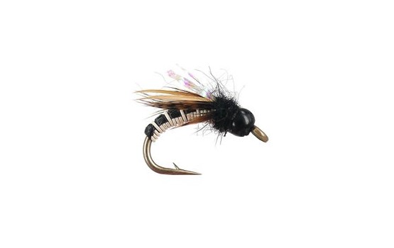 Wired Caddis   Tan