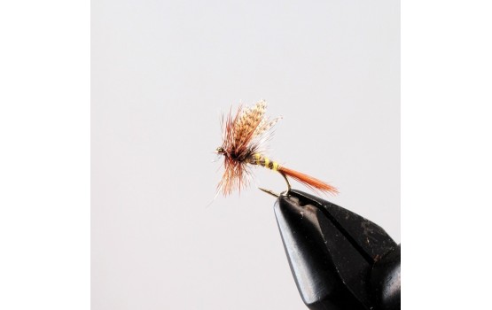 American March Brown