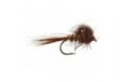 CDC Loop Emerger Brown