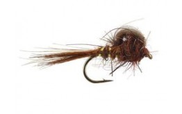 CDC Loop Emerger Brown