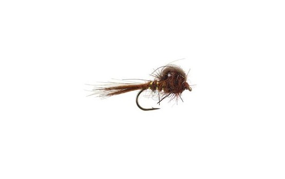 CDC Loop Emerger Brown