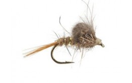 CDC Loop Emerger Grey
