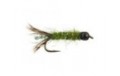 Ales Tungsten Green Peeping Caddis