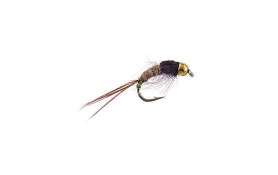 Ales Tungsten Green Tailed Friend