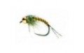 Biot Nymph