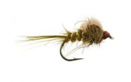 CDC Loop Emerger Olive