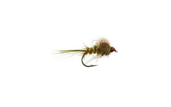 CDC Loop Emerger Olive