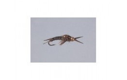 Brown Epoxyback Stone   TNG WTD