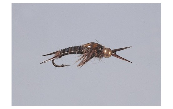 Brown Epoxyback Stone   TNG WTD