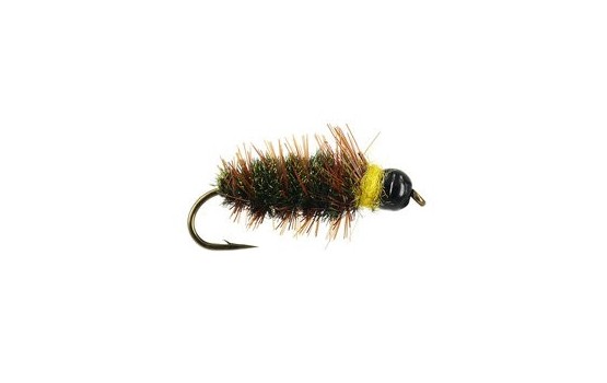 Classic Tungsten Peeping Caddis