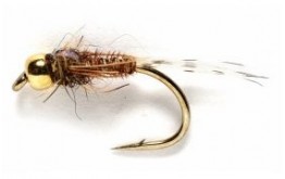 FBack Pheasant Tail