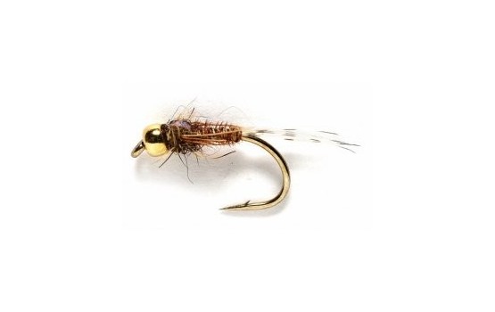 FBack Pheasant Tail