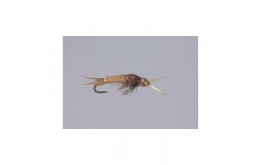 Golden Epoxyback Stone   TNG WTD