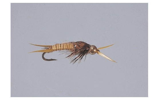 Golden Epoxyback Stone   TNG WTD