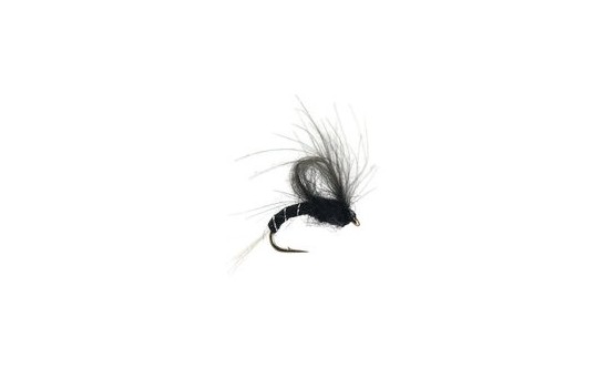 CDC Loopwing Emerger Black