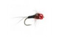 Hot Dark Body Glass Tungsten Nymph