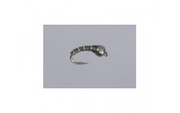 Olive Z Bro Midge   TNG