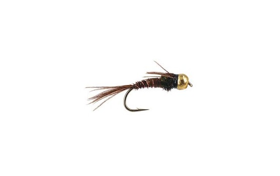 Peacock Pheasant Tail Tungsten