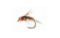 Red Collar Leggy Pheasant Tail