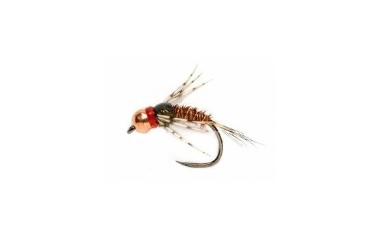 Red Collar Leggy Pheasant Tail