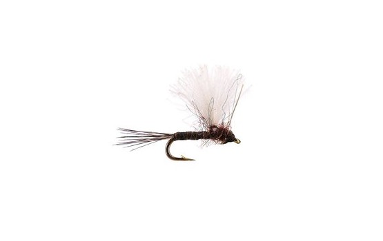 CDC Mini Biot Comparadun Brown Quill