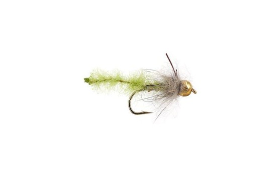 Tungsten Caddis Pupa Olive