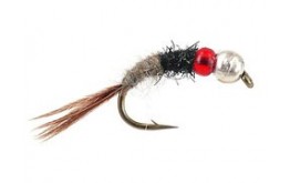 Tungsten Competition Red & Beige