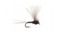 CDC Mini Biot Comparadun Brown