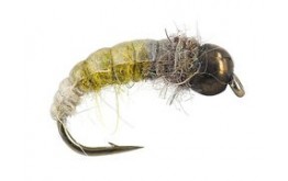 Tungsten Favourite Olive Champ