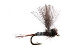 CDC Mini Biot Comparadun Grey Blue