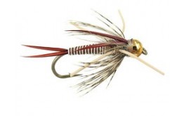 Tungsten Montana Prince   Tan