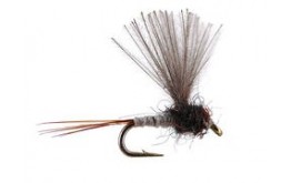 CDC Mini Biot Comparadun Grey