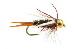 Tungsten Red Leg Prince