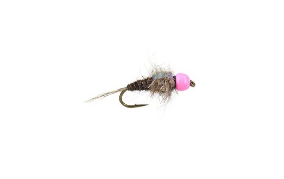 Tungsten Red Neck Pheasant Tail