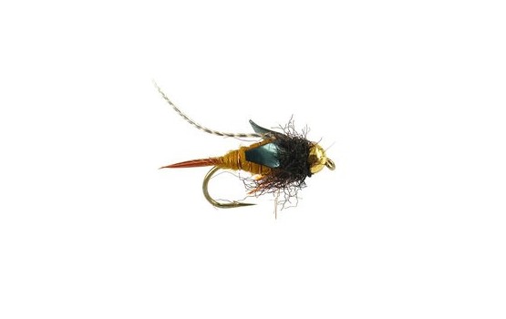 Tungsten Thurmans Zaddis Amber