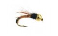 Tungsten Wired Caddis Amber
