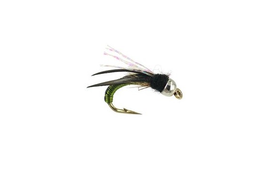 Tungsten Wired Caddis Olive
