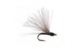 CDC Mini Black