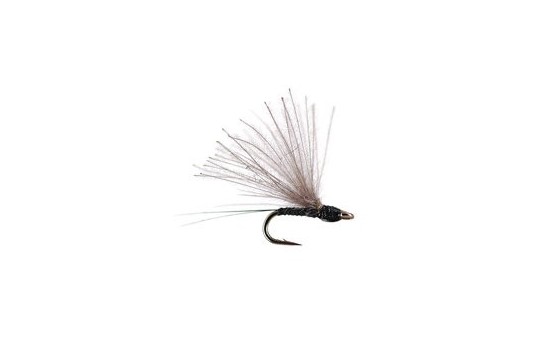 CDC Mini Black