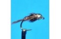 Tungsten Bead Head Pheasant Tail flashback