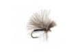 CDC Mini Black Sedge