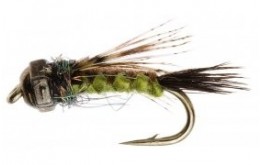 Woven Nymph Brown Olive