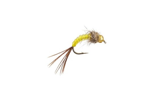 Yellow Body Glass Tungsten Nymph